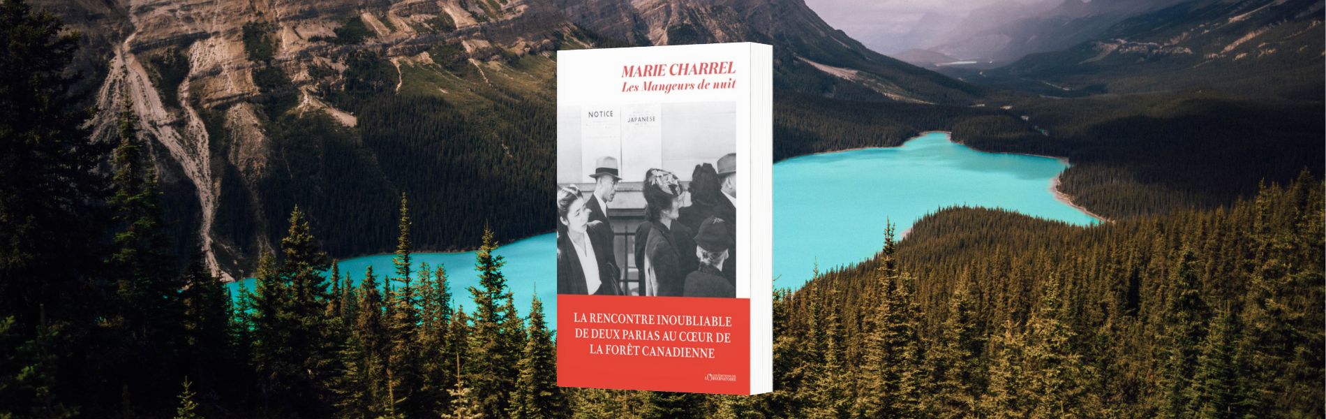 Marie Charrel, Les mangeurs de nuit