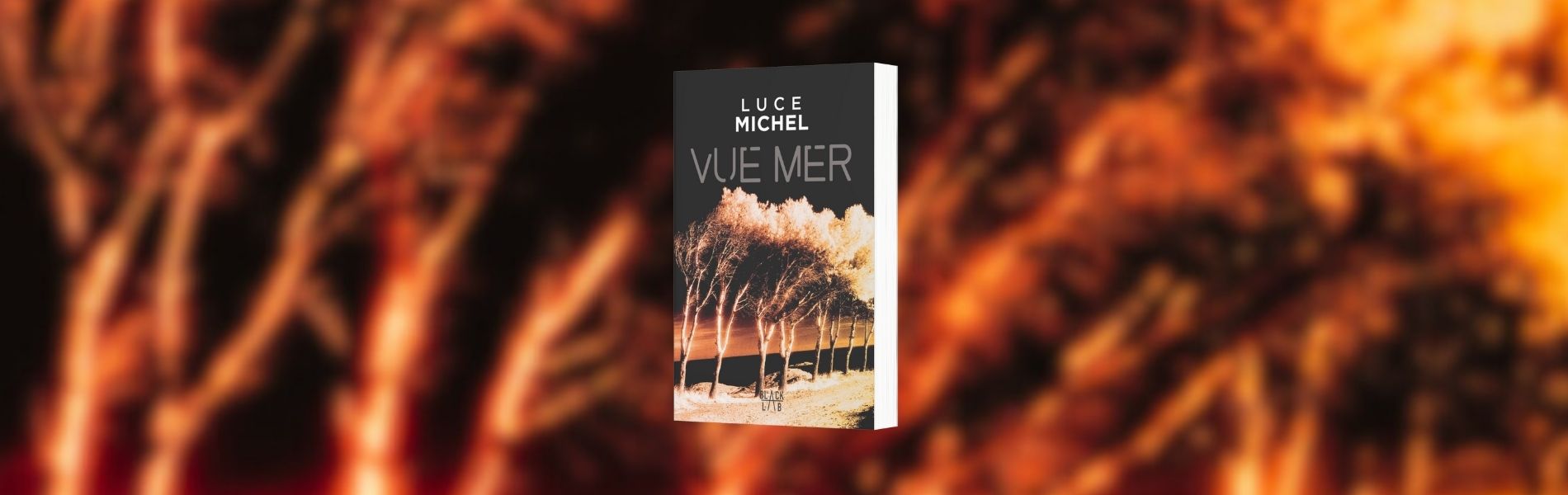 Luce Michel, Vue mer - Chronique Mare Nostrum