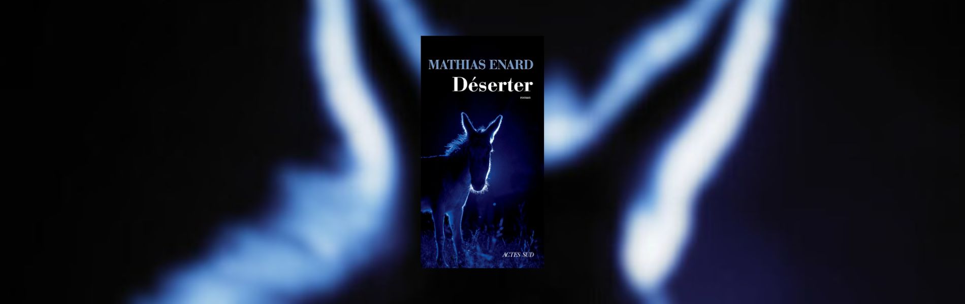 Mathias Enard, Déserter - chronique de Mare Nostrum