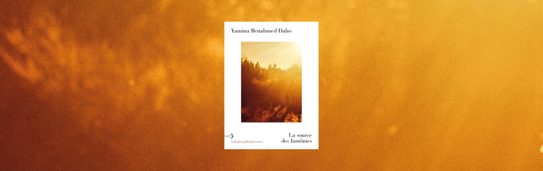 Yamina Benahmed Daho, La source des fantômes - chronique Mare Nostrum