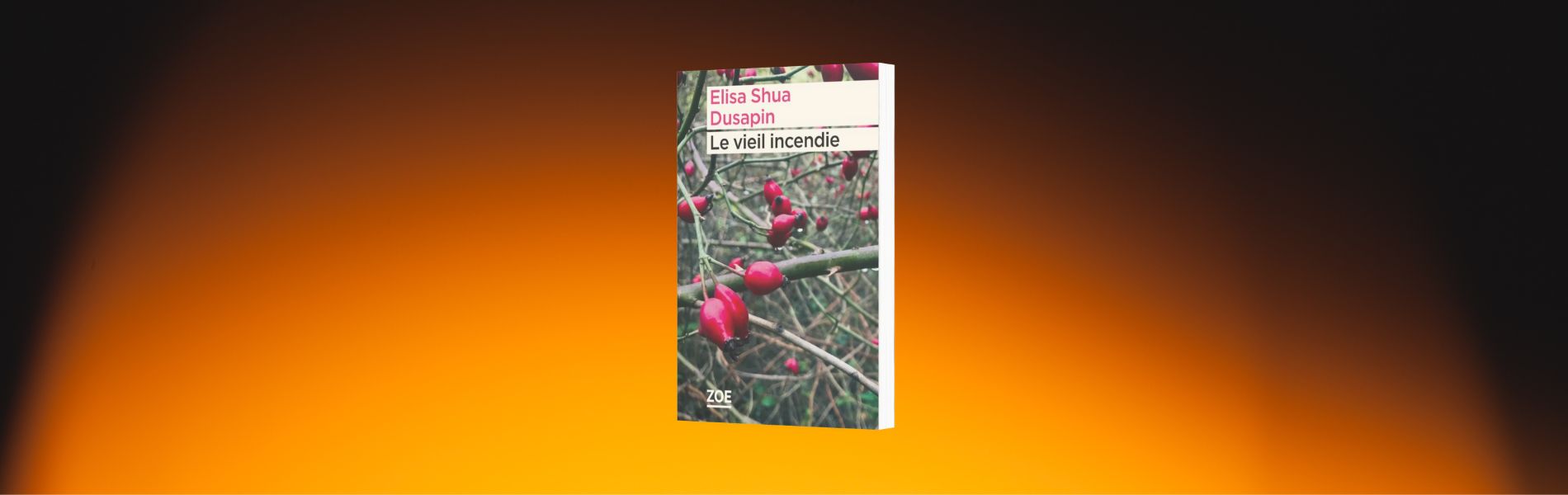 Elisa Shua Dusapin, Le vieil incendie
