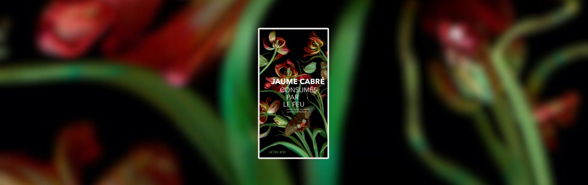 Jaume Cabré, Consumés par le feu - Chronique Mare Nostrum