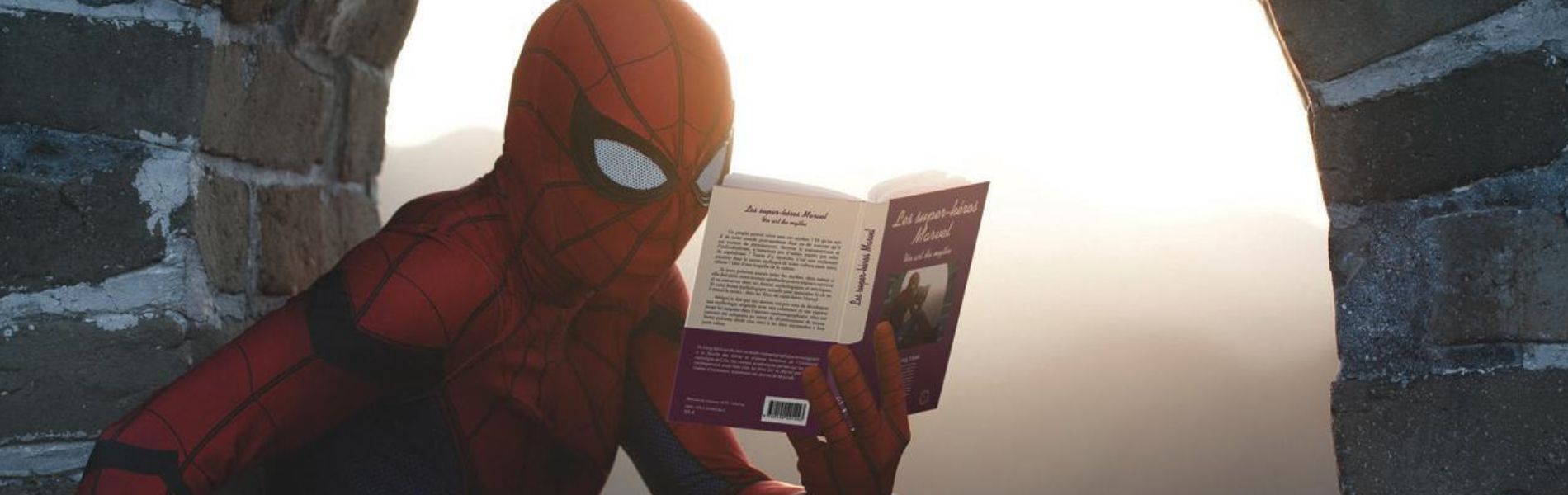 Les super-héros Marvel, un art du mythe, Vu Cong Minh