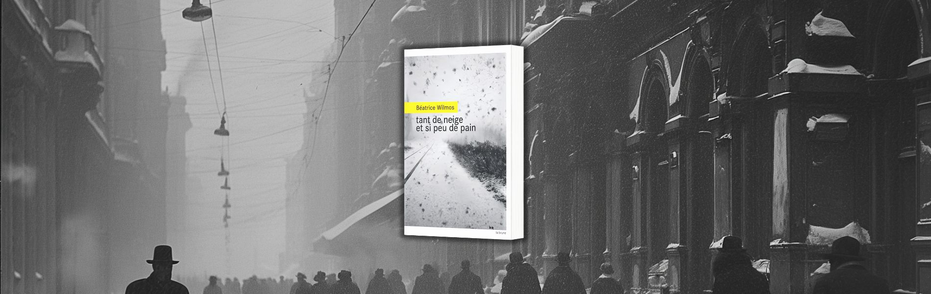 Béatrice Wilmos, Tant de neige et si peu de pain chronique de Jean-Jacques Bedu