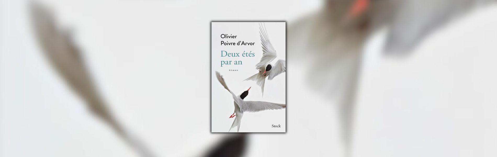 Olivier Poivre d'Arvor, Deux étés par an