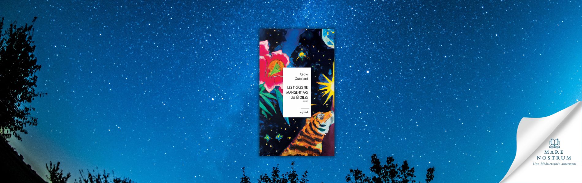 Cécile Oumhani, Les tigres ne mangent pas les Étoiles