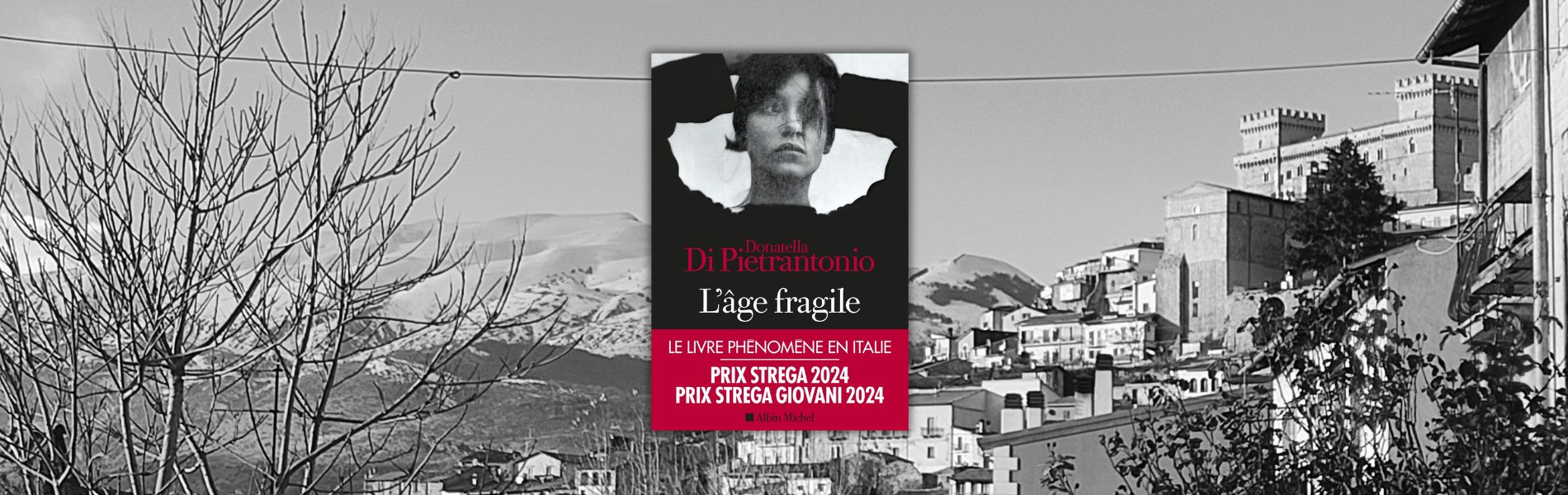 Donatella Di Pietrantonio, L'âge fragile