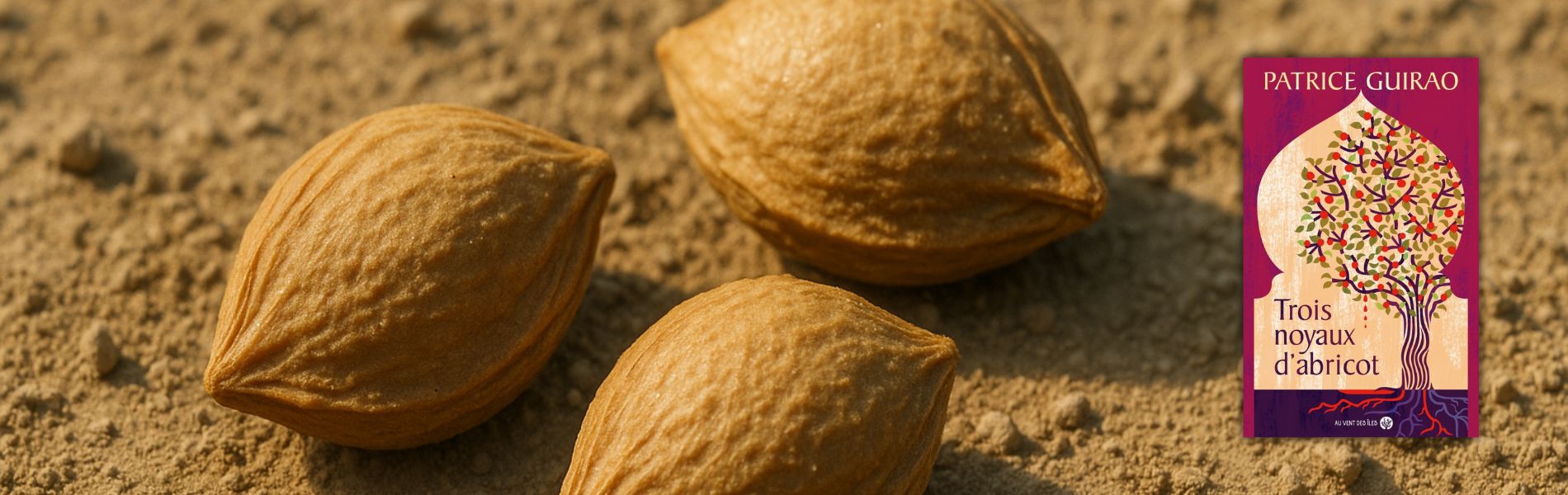 Illustration Chronique Mare Nostrum Patrice Guirao, Trois noyaux d’abricot